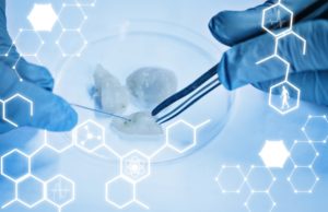 La carrera por hacer realidad la carne del laboratorio