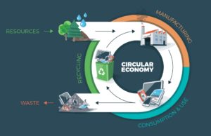 La revolución sostenible de la nueva economía circular
