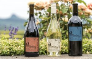 Amazon se atreve también con el vino lanzando su propia marca