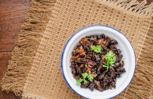 insectos ecommerce