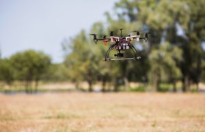 drones reforestar