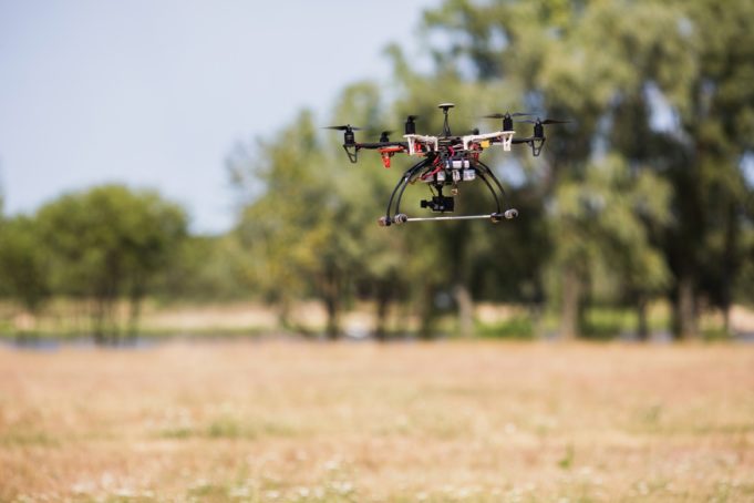 drones reforestar