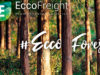 eccofreight-dia-internacional-bosques-proyecto-eccoforest
