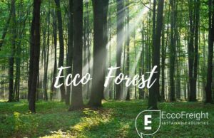 eccoforest-proyecto-medioambiental-eccofreight-llegar-cero-emisiones-netas